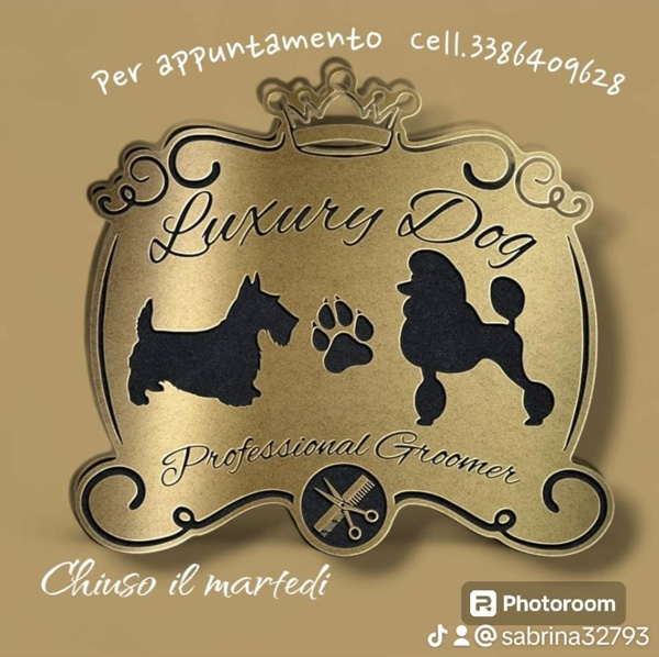 Luxury Dog tolettatura Sabrina Giovannini